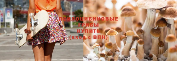 мдпв Нефтекумск